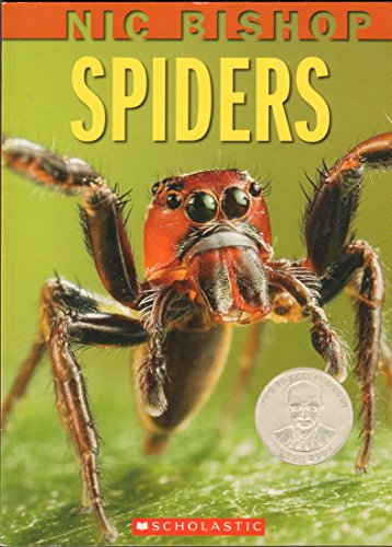 Beispielbild fr Spiders zum Verkauf von Better World Books