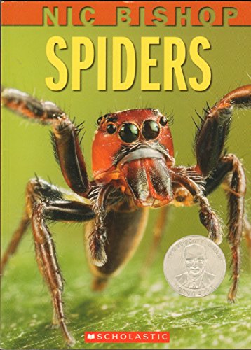 9780545057363: Spiders