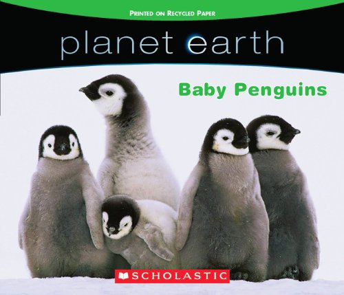 9780545080828: Planet Earth: Baby Penguins