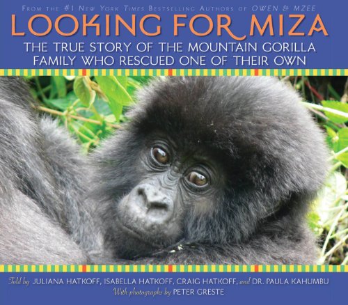 Stock image for Looking for Miza : The True Story of the Mountain Gorilla Family Who Rescued One of Their Own for sale by Better World Books