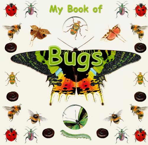 Stock image for My Book of Bugs (Board Book) for sale by Better World Books: West