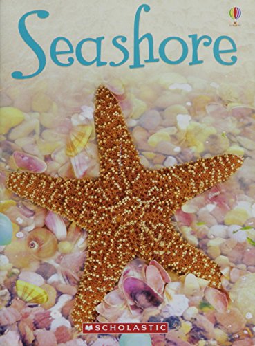 Beispielbild fr Seashore (Usborne Beginners) zum Verkauf von Better World Books
