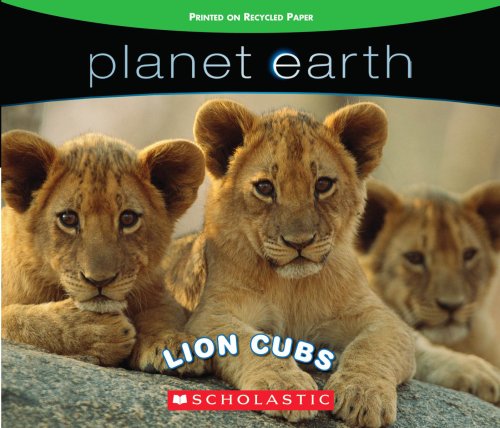 Stock image for Lion Cubs for sale by Better World Books