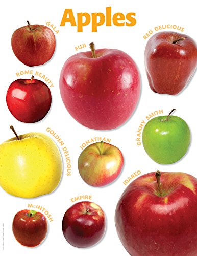 Stock image for Apples Photo Chart for sale by GF Books, Inc.