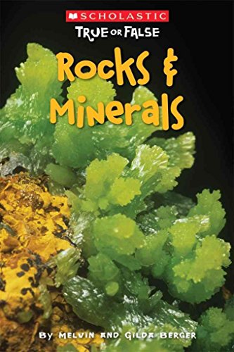 Stock image for Scholastic True or False: Rocks & Minerals for sale by Gulf Coast Books