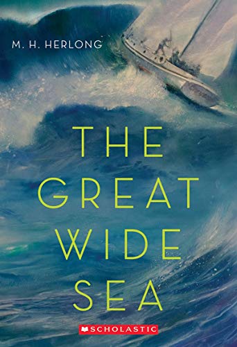 Imagen de archivo de The Great Wide Sea a la venta por Reliant Bookstore