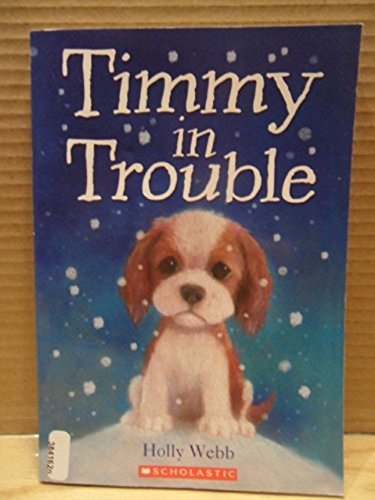 9780545232814: Timmy in Trouble