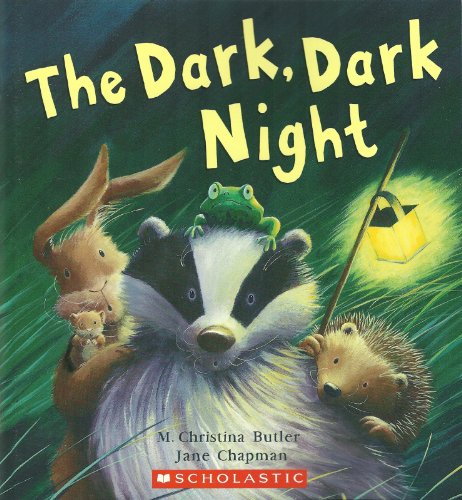 Beispielbild fr The Dark, Dark Night zum Verkauf von More Than Words