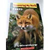 9780545244350: Discovering My World Foxes