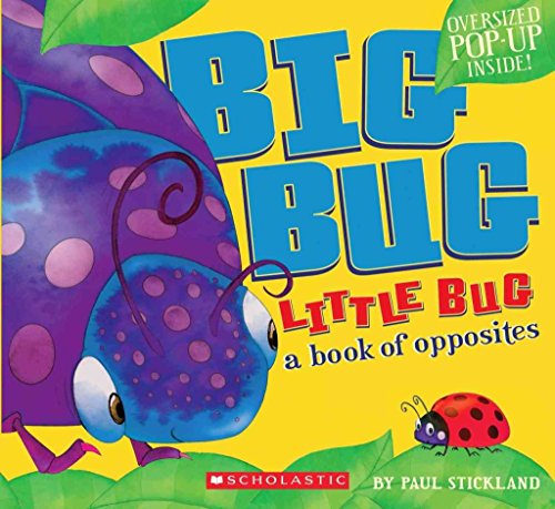 9780545253802: Big Bug, Little Bug
