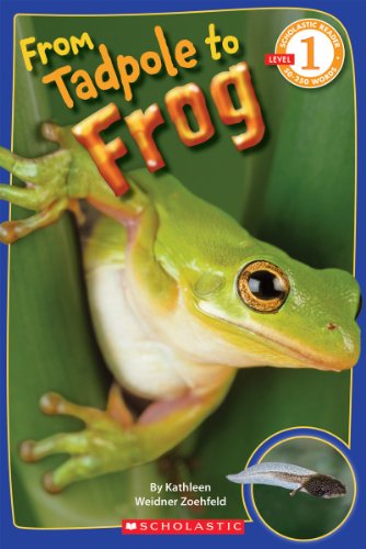 Beispielbild fr From Tadpole to Frog (Scholastic Reader, Level 1) zum Verkauf von Better World Books