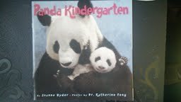 9780545299749: Panda Kindergarten