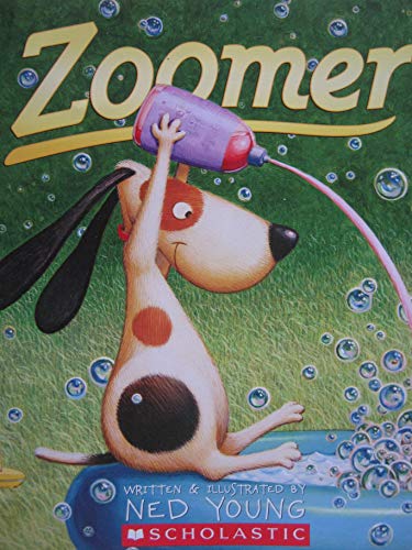 Imagen de archivo de Zoomer a la venta por SecondSale