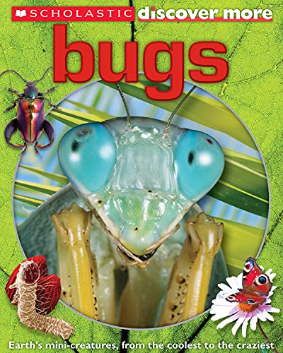 Stock image for Bugs (Scholastic Discover More) for sale by Gulf Coast Books