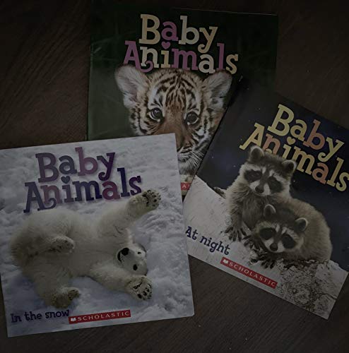 9780545393447: Baby Animals At Night, Baby Animals in the Jungle, Baby Animals, Pets,Baby Animals in the snow (Baby Animals)