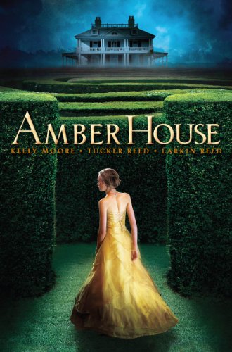 Stock image for Amber House (Amber House, Book 1) (1) for sale by Decluttr