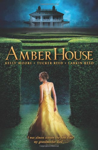 9780545434171: Amber House (Amber House, Book 1) (Amber House, 1)