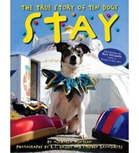 Stock image for Stay, The True Story of Ten Dogs (Paperback) for sale by Better World Books