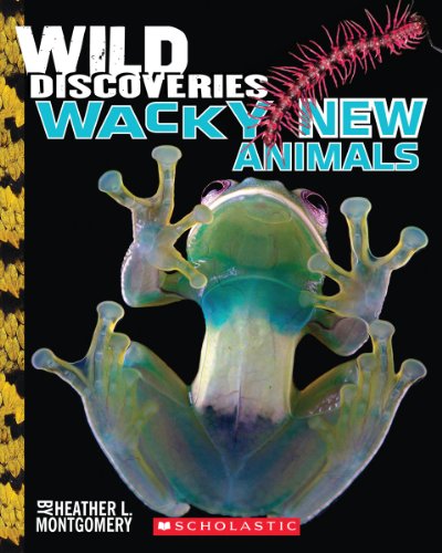 Stock image for Wild Discoveries : Wacky New Animals for sale by Better World Books