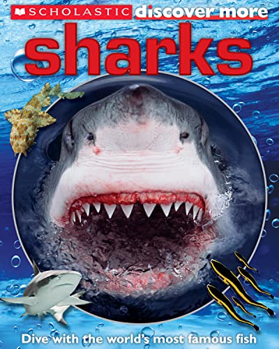 Beispielbild fr Scholastic Discover More: Sharks zum Verkauf von SecondSale