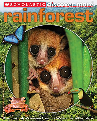 Stock image for Scholastic Discover More: Rainforest for sale by SecondSale