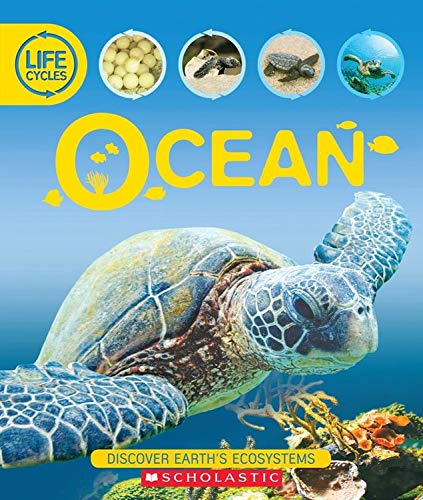 Stock image for Ocean ( Lifecycles ) (Scholastic) (Paperback) for sale by SecondSale