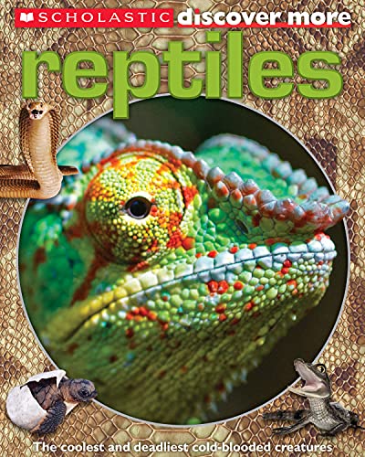 Beispielbild fr Reptiles zum Verkauf von Better World Books