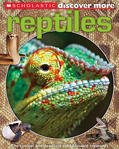 9780545505093: Scholastic Discover More: Reptiles