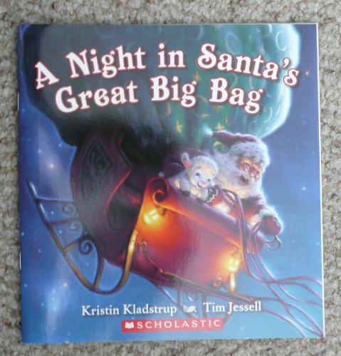 Beispielbild fr A Night in Santa's Great Big Bag zum Verkauf von medimops