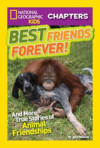 Imagen de archivo de [National Geographic Kids Chapters: Best Friends Forever: And More True Stories of Animal Friendships (NGK Chapters)] [By: Shields, Amy] [July, 2013] a la venta por HPB Inc.