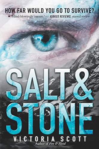 Beispielbild fr Salt and Stone zum Verkauf von Better World Books