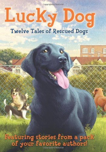 9780545554510: Lucky Dog: Twelve Tales of Rescued Dogs