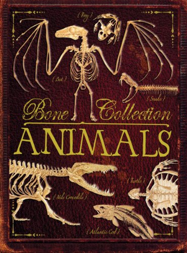 Imagen de archivo de Bone Collection: Animals a la venta por Gulf Coast Books