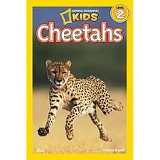 Stock image for National Geographic Kids Readers: Cheetahs for sale by Gulf Coast Books
