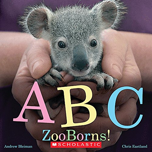 9780545644815: ABC ZooBorns!