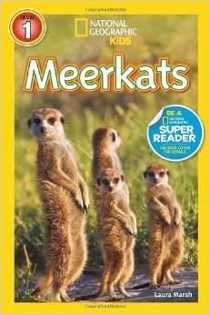 Stock image for National Geographic Kids Meerkats By Laura Marsh [Level 1 Reader] [Paperback] for sale by Jenson Books Inc