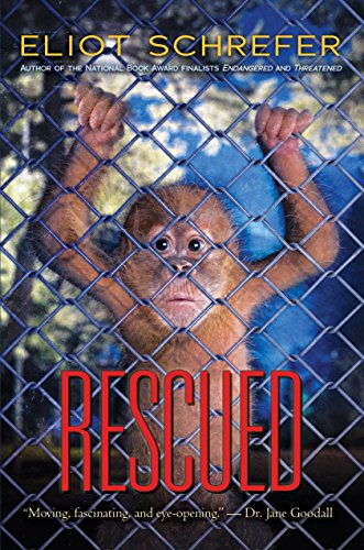 9780545655033: Rescued (Ape Quartet)