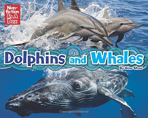 Stock image for Dolphins & Whales in a Box for sale by HPB-Ruby