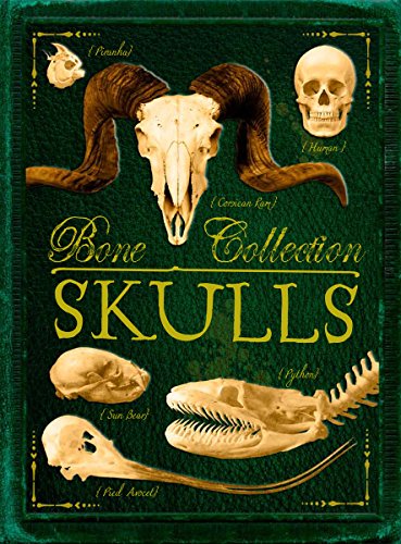 Stock image for Bone Collection: Skulls for sale by Half Price Books Inc.