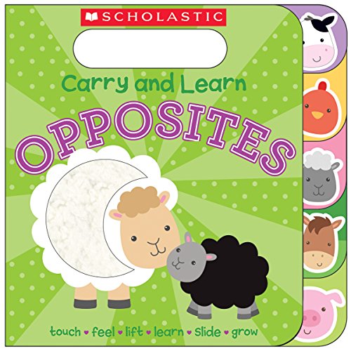 Stock image for Carry and Learn Opposites for sale by Better World Books