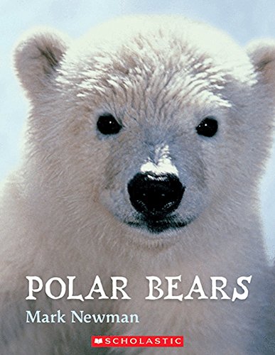 Beispielbild fr Polar Bears zum Verkauf von Better World Books