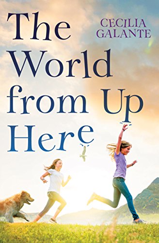 Imagen de archivo de The World From Up Here a la venta por SecondSale