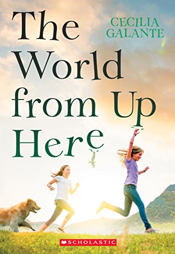 Beispielbild fr The World From Up Here zum Verkauf von Better World Books