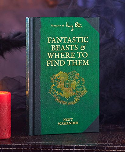 The essential guide to Harry Potter and Fantastic Beasts has just