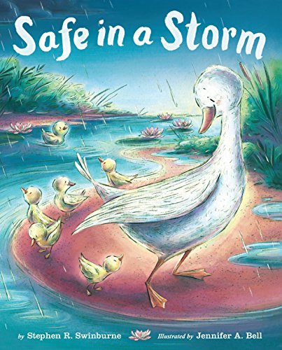 Beispielbild fr Safe in a Storm zum Verkauf von Gulf Coast Books