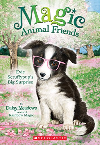 Beispielbild fr Evie Scruffypup's Big Surprise (Magic Animal Friends #10) (1) zum Verkauf von Goodwill Southern California