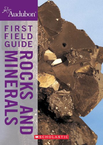 9780545996907: Rocks and Minerals (Audubon First Field Guide)
