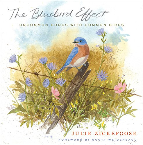 Beispielbild fr The Bluebird Effect: Uncommon Bonds with Common Birds zum Verkauf von BooksRun