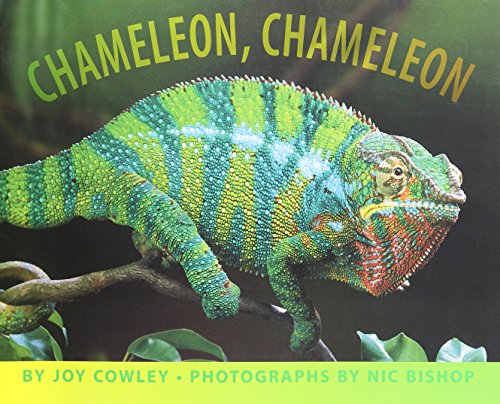 Beispielbild fr Chameleon, Chameleon zum Verkauf von Better World Books