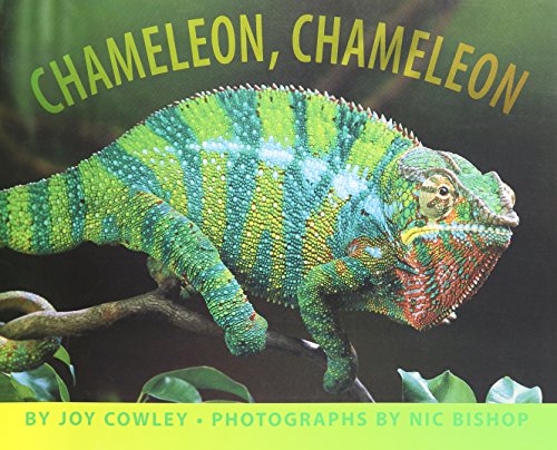 9780547009315: Chameleon, Chameleon Little Big Book Unit 5 Book 24 Level K: Houghton Mifflin Harcourt Journeys